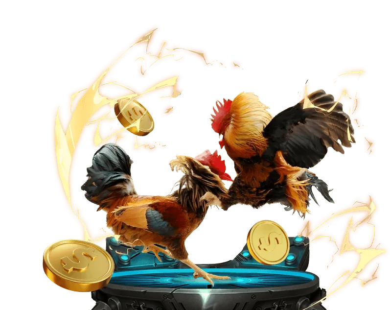 Hỗ trợ khách hàng và câu hỏi thường gặp